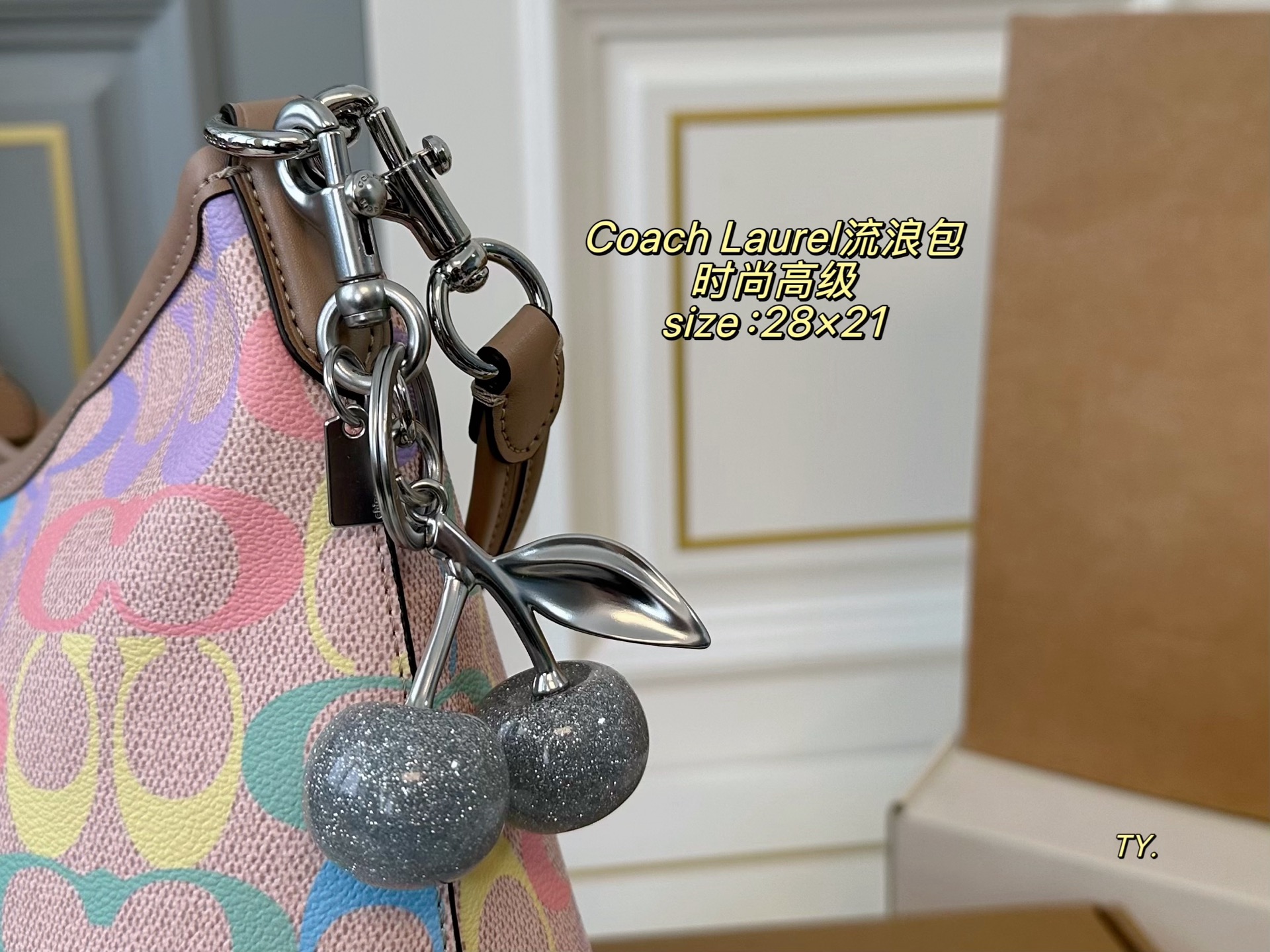 Coach Bag - Image 3